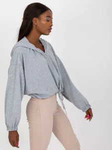 Sweatshirt-RV-BL-8081.36P-gray