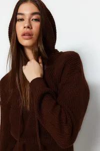 Trendyol Brown Mini Knitwear Hooded Dress