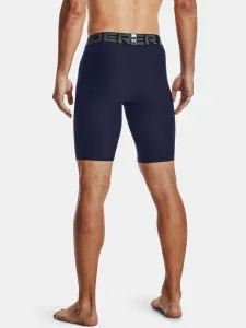 Pánske kraťasy Under Armour