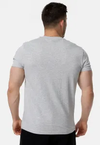 Tapout Men's t-shirt regular fit