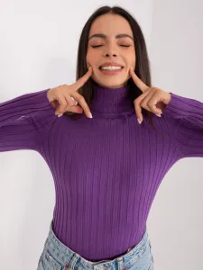 Sweater-PM-SW-1087.09-dark purple