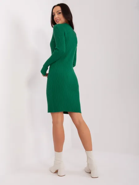 Dress-PM-SK-PM319.19-dark green