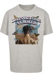 Days Before Summer Oversize T-shirt gray