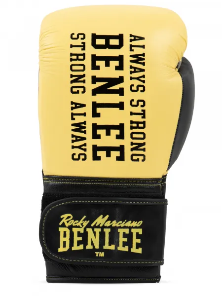 Lonsdale Leather boxing gloves