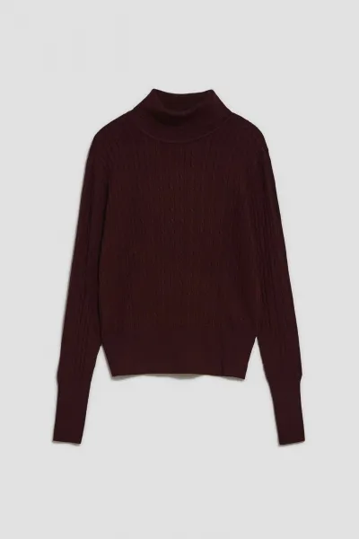 Marisse Thin Turtleneck Sweater, Chestnut
