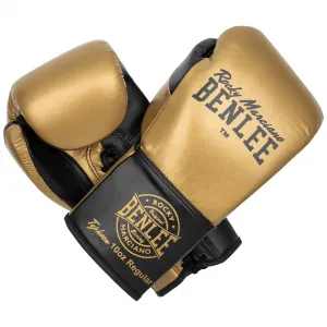 Lonsdale Leather boxing gloves