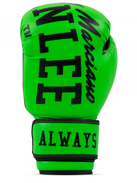 Benlee Artificial leather boxing gloves