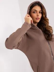 Sweatshirt-RV-BL-4858-2.97P-brown
