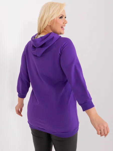 Sweatshirt-RV-BL-8221.96-dark purple