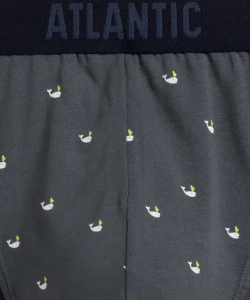 Men's sports briefs ATLANTIC 3Pack - multicolor