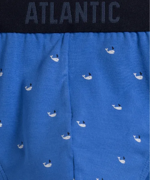 Men's sports briefs ATLANTIC 3Pack - multicolor