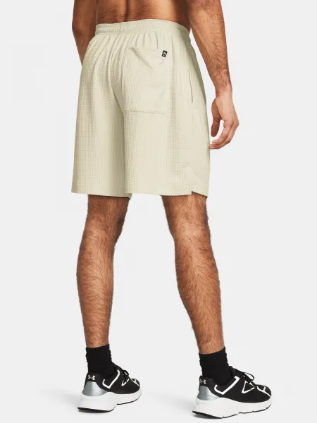 Pánske kraťasy Under Armour