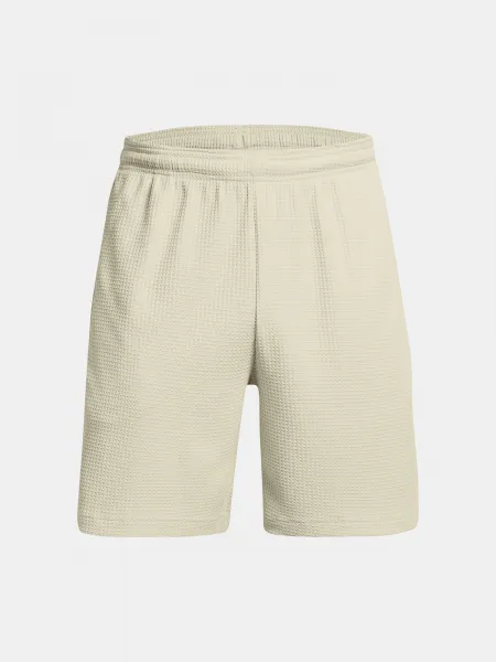 Pánske kraťasy Under Armour