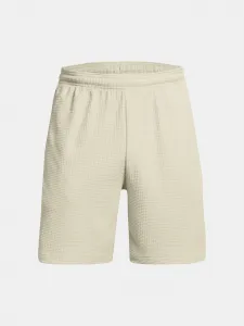 Pánske kraťasy Under Armour