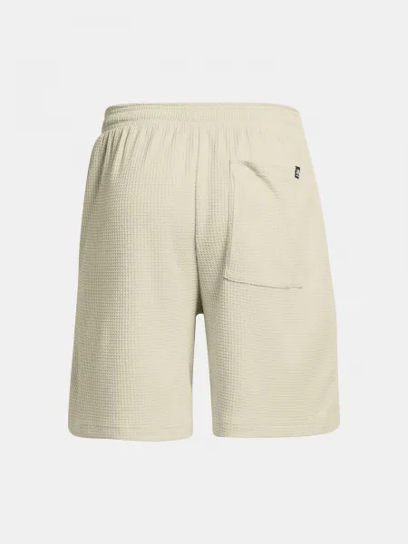 Pánske kraťasy Under Armour