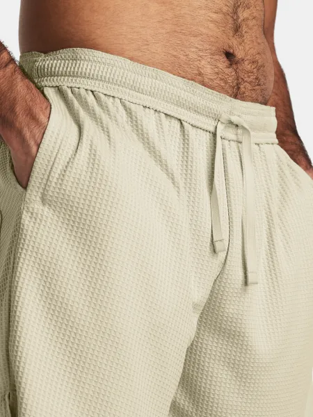 Pánske kraťasy Under Armour