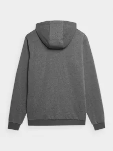 Men's cotton sweatshirt