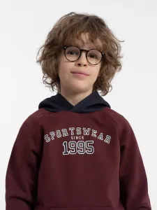 Boys' cotton sweatshirt