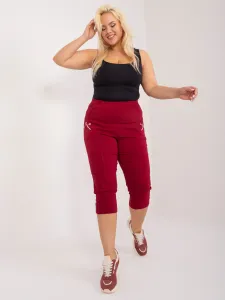 Trousers-AT-SP-73019.43-burgundy