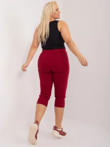 Trousers-AT-SP-73019.43-burgundy