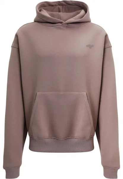 Men's sweatshirt FRANK Hoody powder
