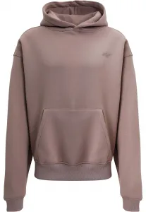 Men's sweatshirt FRANK Hoody powder