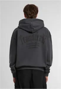 Men's sweatshirt Teamdream Ultraheavy Oversize Hoodie gray