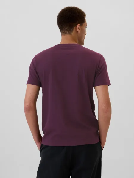 GAP INTL - F SS Pánske tričko, vínová, veľkosť