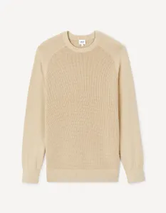 Celio Cotton Sweater Jeshinto - Men's