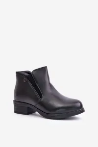 Ankle boots with a low upper insulated with Vinceza fur black
