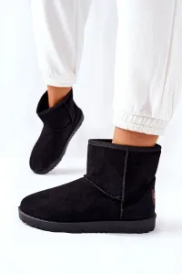 Snow Boots Isolated Fur Black Vicandi