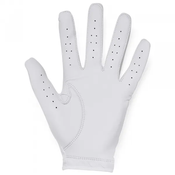 Men's Golf Glove Under Armour Iso-Chill Golf Glove