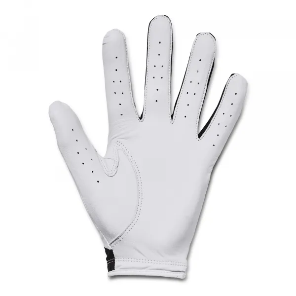Men's Golf Glove Under Armour Iso-Chill Golf Glove