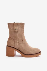 Insulated women's ankle boots on heel brown Vailia