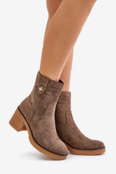 Insulated women's ankle boots on heel brown Vailia