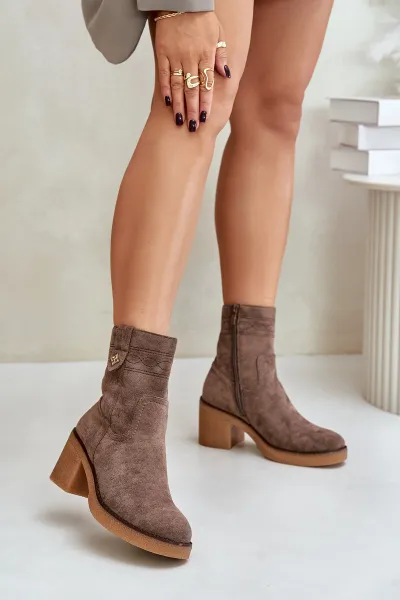 Insulated women's ankle boots on heel brown Vailia