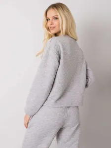 Sweatshirt-RV-BL-7446.99-gray