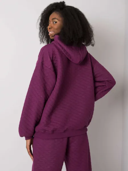 Sweatshirt-RV-BL-7452.16-dark purple