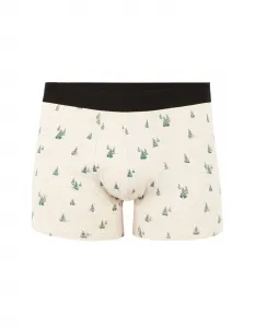 Celio Boxer Box Gift Pack, 3pcs - Men's