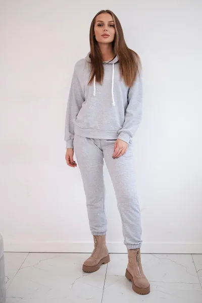 Hoodie in grey color