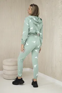 Set with printed guns dark mint
