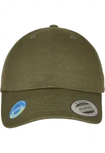 Ecowash Dad Cap Olive Night