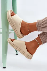 Dámske šľapky BIG STAR SHOES