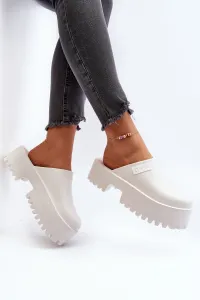 Dámske šľapky BIG STAR SHOES
