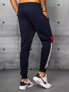Pánske tepláky DStreet