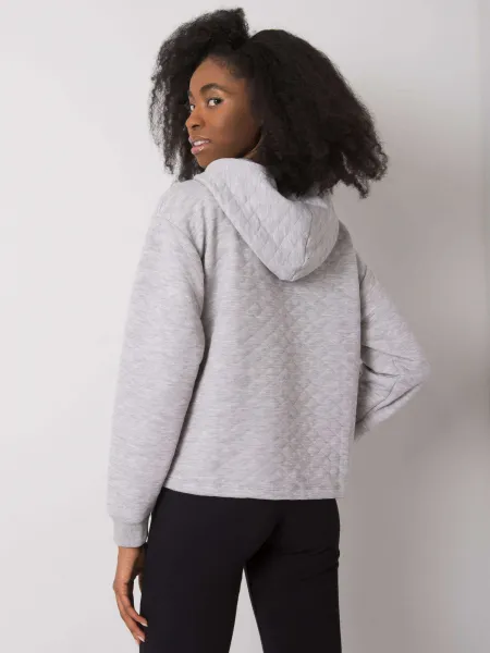 Sweatshirt-RV-BL-7449.66-gray