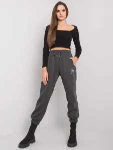 Sweatpants-RV-DR-7275.24P-dark gray