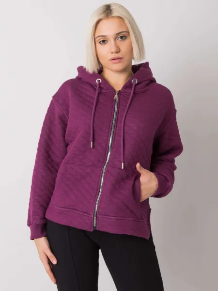 Sweatshirt-RV-BL-7451.23-dark purple
