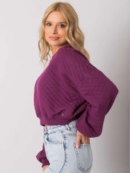 Sweatshirt-RV-BL-7450.64-dark purple