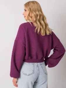 Sweatshirt-RV-BL-7450.64-dark purple